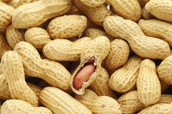 Découverte de bruches nuisibles dans plusieurs conteneurs: Le Vietnam suspend ses importations d'arachides au Sénégal