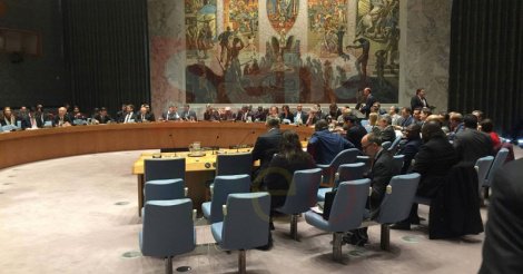 Le groupe de travail du Conseil de Sécurité sur les Operations de Maintien de la Paix : genèse et mandat