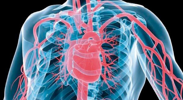 A la rencontre des malades cardiovasculaires : Cri de cœur meurtri des damnés du cœur