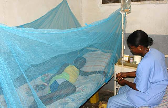 19,7 milliards F CFA pour venir à bout du paludisme