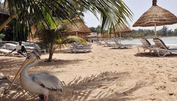 Tourisme: Le Sénégal montre des "signaux forts" dans le secteur touristique(ÉCONOMISTE)