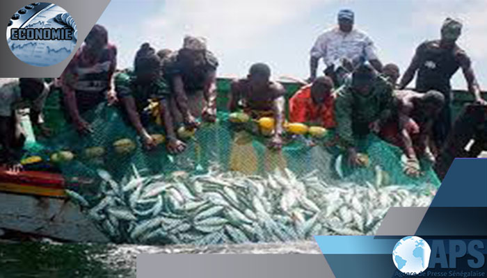 SENEGAL: La pêche artisanale représente 83% des débarquements en EN 2017 (FAO)