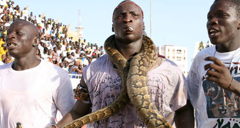 Serpent au stade : Ama Baldé suspendu pour un an