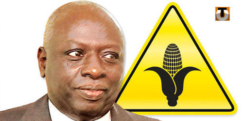 Jacques Diouf cogne sur la politique agricole du régime : « Le Sénégal n’a pas atteint l’autosuffisance alimentaire»