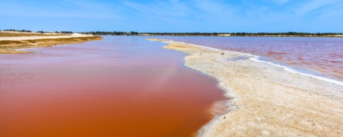 Le lac Rose est en train "de perdre sa couleur d'origine, et les touristes y sont harcelés"