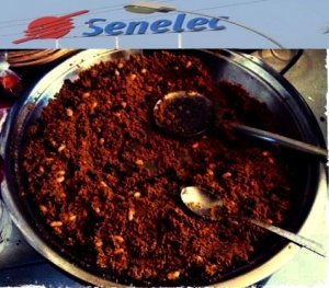 Tamkharit à Louga : La SENELEC met du sable dans le couscous