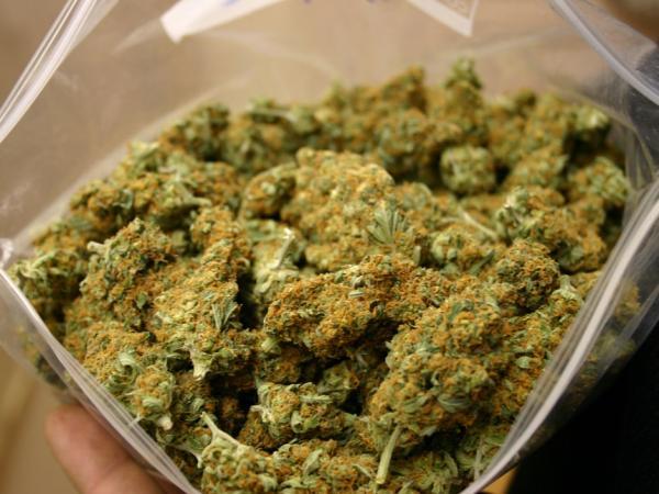 Saisie de 14 kg de cannabis à Koumpentoum