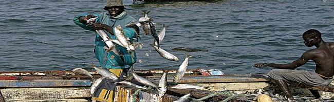 Accord de Pêche Sénégal/Mauritanie  Un tonnage de 40.000 tonnes accordées aux pêcheurs sénégalais