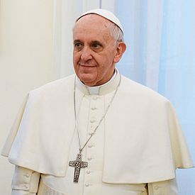 Le pape françois arrive au Brésil pour le JMJ 