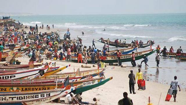 Environ 600 mille sénégalais dans le secteur de la pêche (RAPPORT)