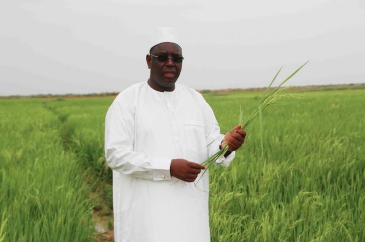 Partenariat Etat-secteur privé: L’UNACOIS s'engage à commercialiser tout le riz local
