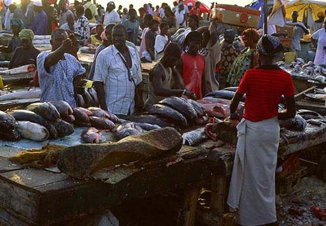 Sénégal-Afrique: Le poisson, produit alimentaire ‘’ le plus négocié’’ (Responsable)