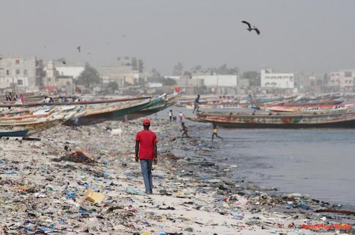 Hors norme: Hann, classée 17e baie la plus polluée au monde