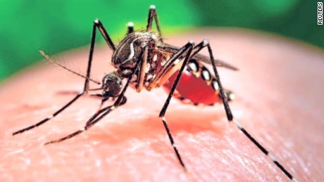 Afrique: le virus Zika débarque au Cap-Vert