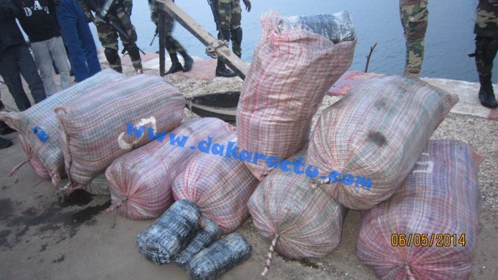 OCRTIS: 300 kg de yamba saisis entre Yoff et Guédiawaye