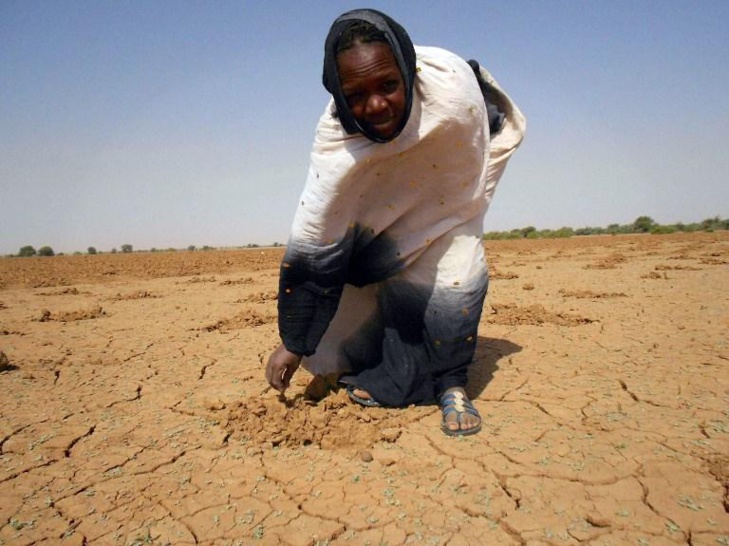 Résultat d'une étude sur la dégradation des terres au Sénégal: 13% de la superficie affectés