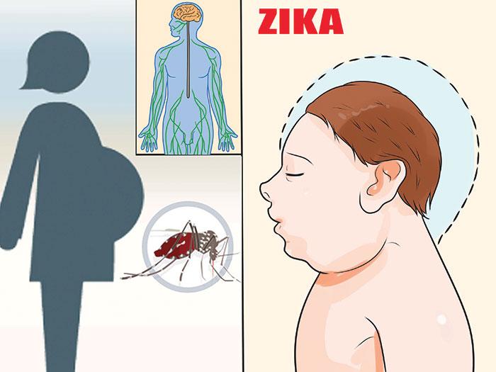 Prévention contre le virus Zika: Une maladie méconnue par les sénégalais