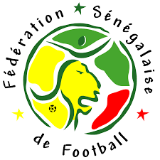 Equipementier des lions du Sénégal: Un sponsor émirati pour remplacer Puma