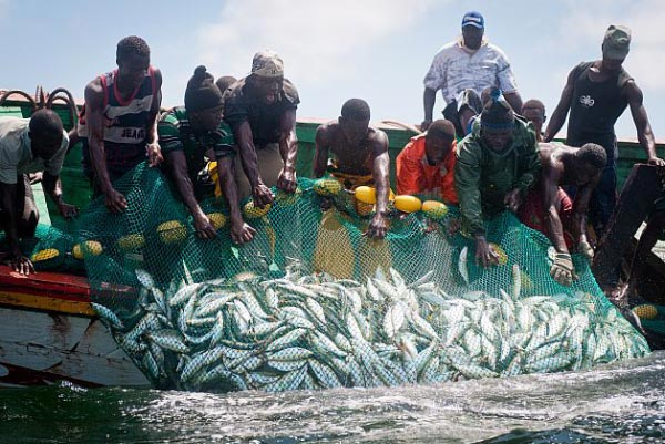 Afrique: La vice-présidente de la CAOPA relève une absence  de transparence dans les accords de pêche