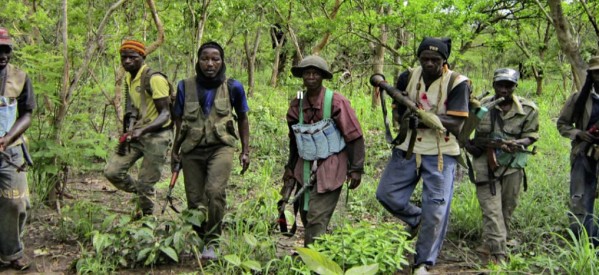 Conflit-Paix: Des combattants du MFDC pour un ‘’maintien de l’accalmie’’ en Casamance, selon Robert Sagna