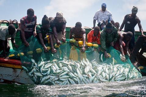 Des acteurs de la pêche dénoncent la destruction du secteur