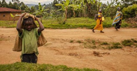 Noël sanglant en RDC : au moins 22 personnes tuées à la machette à Beni