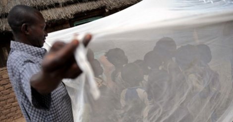 Le Sénégal table sur la "pré-élimination" du paludisme d’ici à 2020