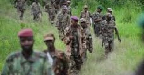 Gambie-Sécurité: Les éléments du MFDC ont tenté de s'opposer à l'avancée des troupes ouest africaines vers la Gambie(De Souza)