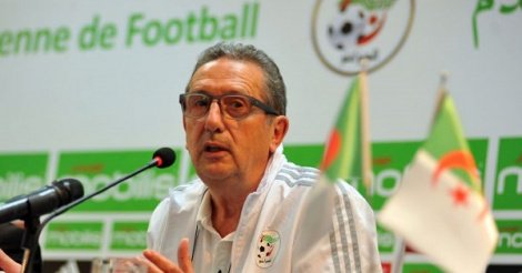 Georges Leekens : “ Ce sera la guerre contre le Sénégal pour décrocher la qualification”