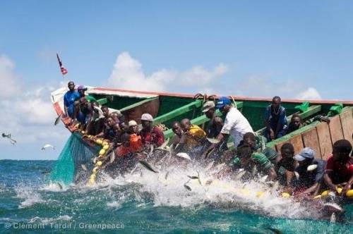 Chavirement d’une pirogue : deux pêcheurs Sénégalais morts et deux autres disparus
