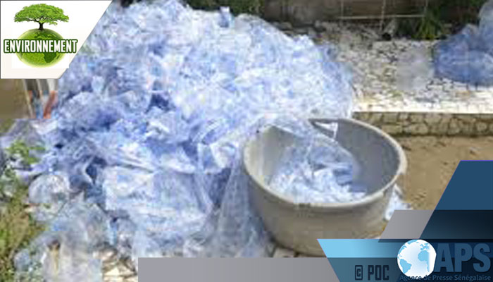 Sénégal: Un comité interministériel mis en place pour le suivi de l'interdiction du plastique