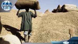 Agriculture: Suspension de la taxe à l'exportation sur l'arachide(OFFICIEL)