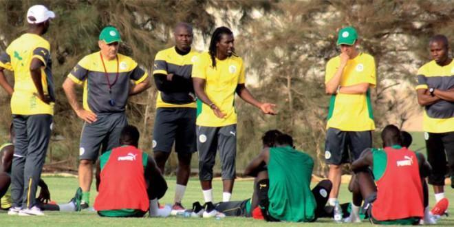 Préparation Coupe du Monde: Les lions effectuent un entraînement ouvert au public, vendredi