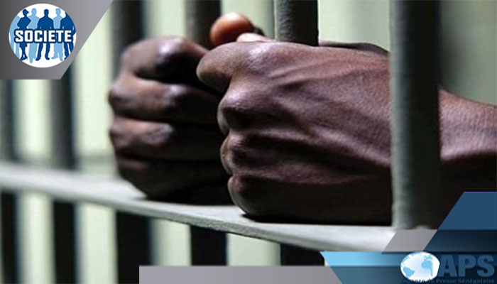 Tortures dans les prisons sénégalaises : 20 décès enregistrés