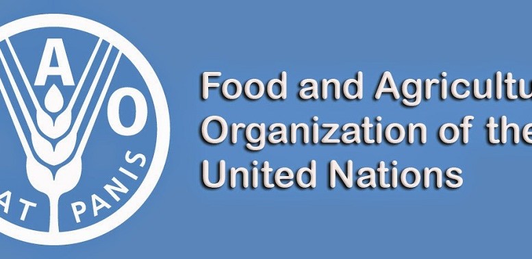 Importations alimentaires: La facture mondiale a dépassé mille milliards de dollars en 2017 (FAO)