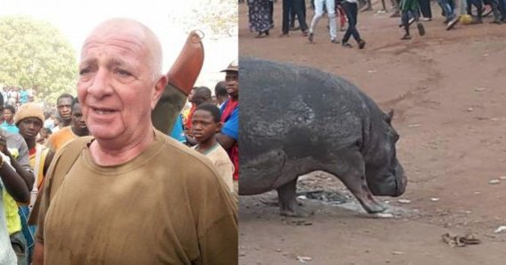 Hippopotame abattu à Kédougou : Vers l’ouverture d’une enquête ?