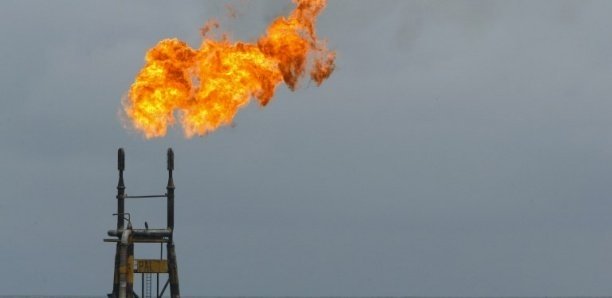 Phase 1 projet pétrolier Sangomar : 230 millions de barils de pétrole brut attendus