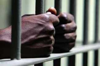 Vol de chéquiers : Le fil de Serigne Mbacké Ndiaye et ses accolytes en prison