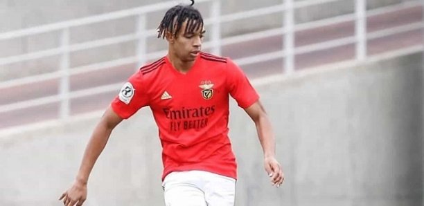 Equipe nationale : le père de Cher Ndour, jeune pépite de Benfica, lance un appel à la FSF