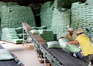 Commerce:141 322 tonnes de riz importées de la Thaïlande en 2013