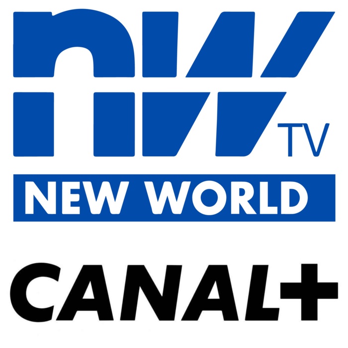 DIFFUSION DES MATCHES DE LA COUPE DU MONDE New world télévisions met en demeure Canal+