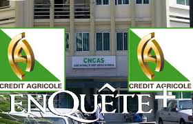 CAISSE NATIONALE DE CRÉDIT AGRICOLE DU SÉNÉGAL : La banque qui fabrique des  milliardaires