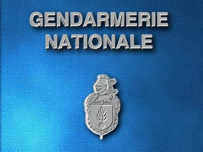 Focus sur la cybercriminalité : Les gendarmes en pleine enquête sur l'arnaque par Internet