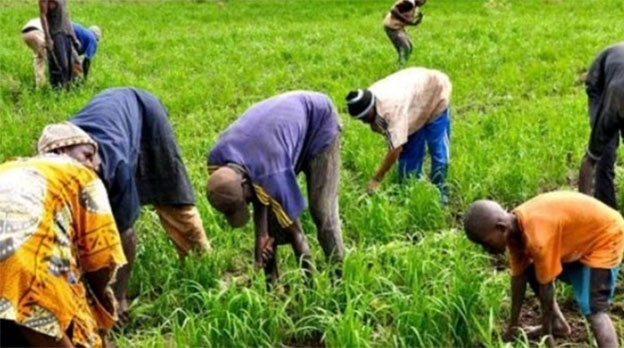 Agriculture-Commercialisation: Macky Sall demande aux paysans d'éviter de brader leurs récoltes