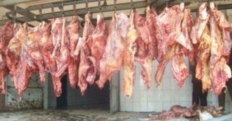 Abattages clandestins - «50% de la viande consommée à Dakar proviennent de circuits clandestins» (Sogas)