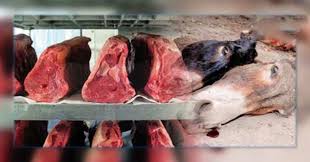Arrêté dans l’affaire de la viande d’âne vendue: Babacar Sarr fait de graves révélations