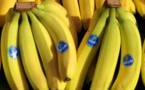 Agriculture: Vers un atelier national sur l'autosuffisance en banane(ministre)
