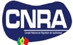 HCCT: Le CNRA et le CORED saluent le travail des journalistes