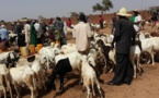 ETUDE: Comment la sécheresse fragilise les éleveurs en Afrique de l'Ouest