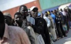 Algérie: Près de 1500 sénégalais expulsés